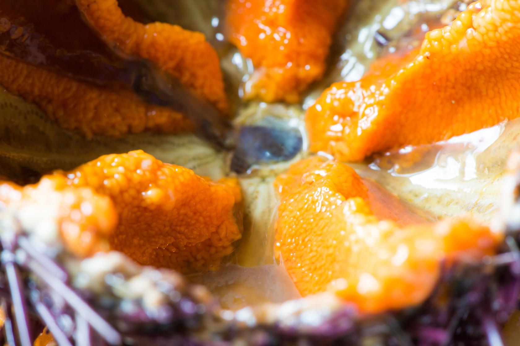 spaghetti ai ricci di mare consigli